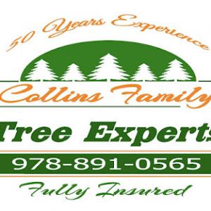 Collins Family Tree Experts