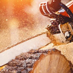 High Line Tree Service