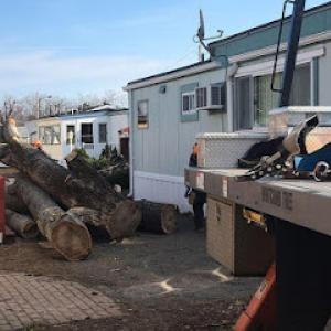 Whitcomb Tree Service