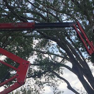 Twisted Tree Service