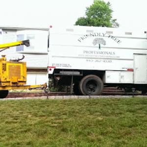 Friendly Tree Professionals