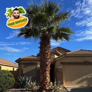 CURB APPEAL NEIL Tree Service