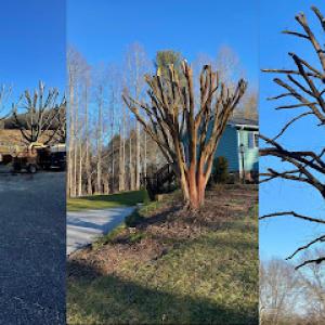 Guardian Stone & Tree Care