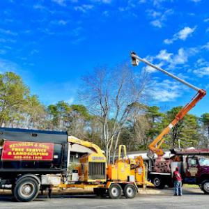 Reynolds & Sons Tree Service