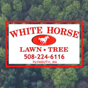 White Horse Lawn & Tree
