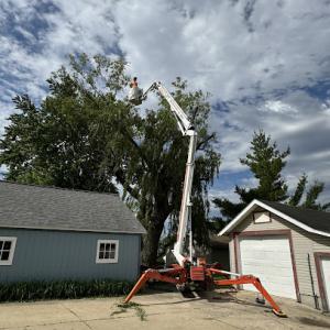 Cutting Edge Tree Services