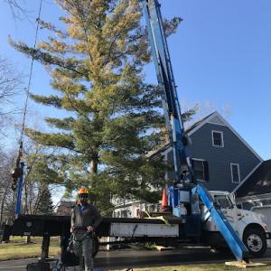 Outdoor Inspirations Tree Service
