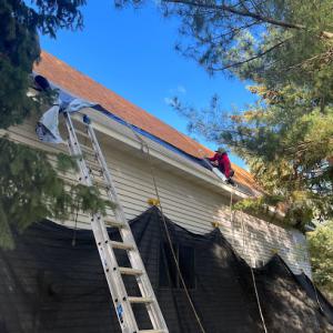 Home Star Roofing & Siding of Maple Grove