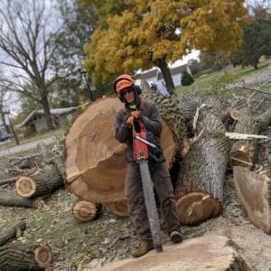 Jeffries Tree Removal