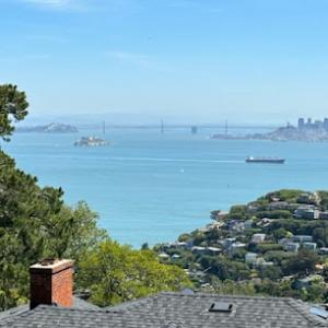 The Small World Tree Company