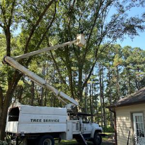 Pete’s Tree Service