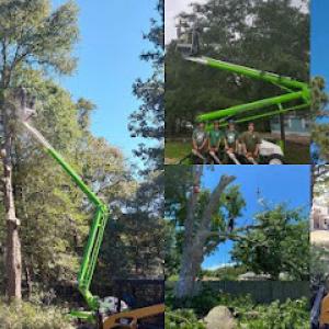 Trees & More of Northwest Florida- Fanberg Brothers