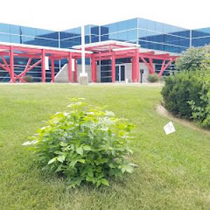 Braun's All-Year Landscaping