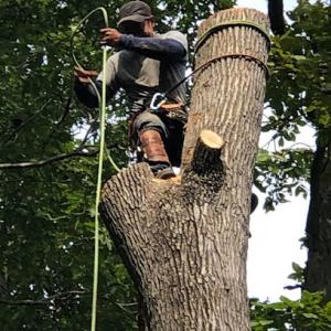 Kelly's Construction