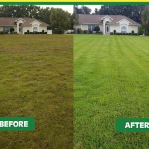 Douglas Professional Lawn Care Services