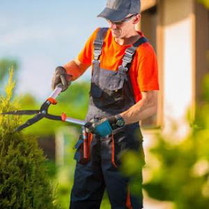 Tree Service Montgomery
