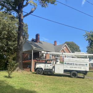 Brian's Tree Services