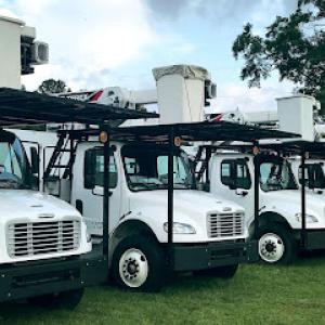 Phillips Tree Service