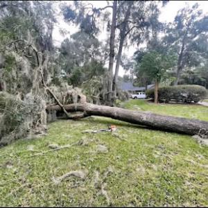 Lovett's Tree Service