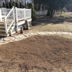 Tamarack Stump Grinding