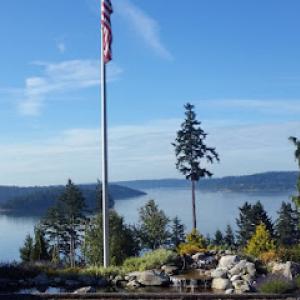 Eager Beaver Tree Service