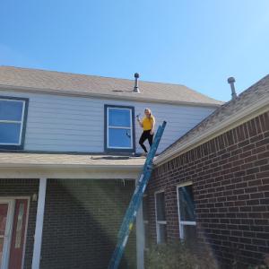 Black Bear Pressure Washing