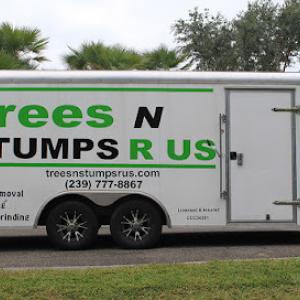 Trees N Stumps R Us