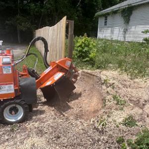 Tree Cowboys & landscaping