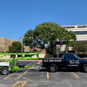 All Seasons Tree Care