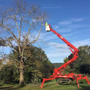 Emmons Tree & Landscaping Service