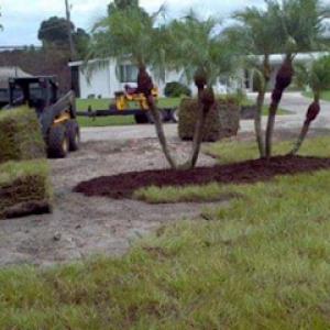 Martinez Tree & Sod Service