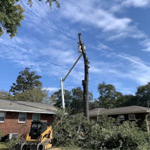 Skyscape Tree & Debris