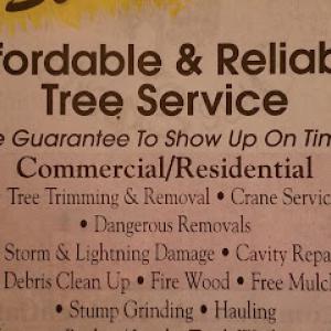 Affordable & Reliable Tree Service