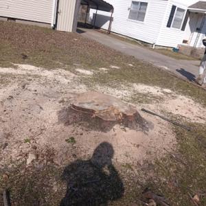 Heavy's Landscaping & Tree Services