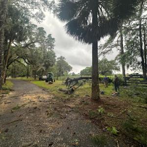 Premiere Land Transformations