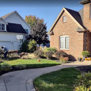 Botanical Arts Tree Service