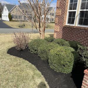 Santos & Son Northern Virginia Landscaping & Tree Removal