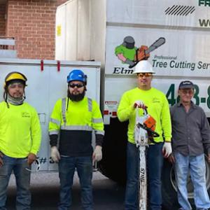 Elmer's Tree Service