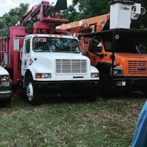 Critical Tree Service