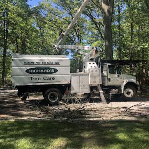 Richard's Tree Care