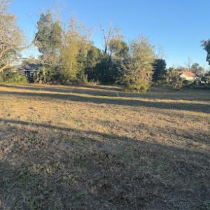 Environmental Choices