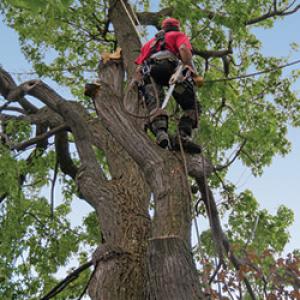 Barksdale's Services