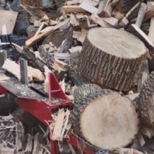 Fox & Son Tree service