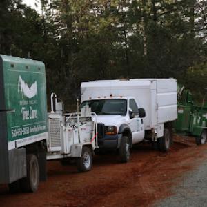 Sierra Pacific Tree Care