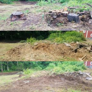 Andy's Stump Grinding Services