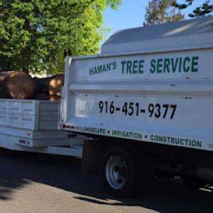 Haman Landscape & Tree Service