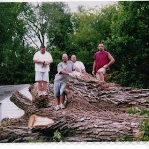 Stupavsky Tree services