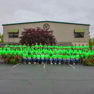 New Castle Lawn & Landscape