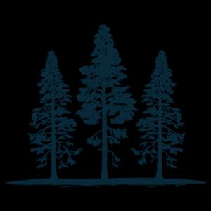 Timber Stand Improvement