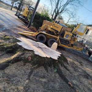 Ferguson's Stump Grinding
